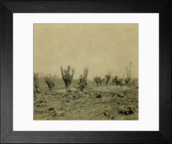 Framed Print : Battlefield, Maurepas, northern France, c1914-c1918