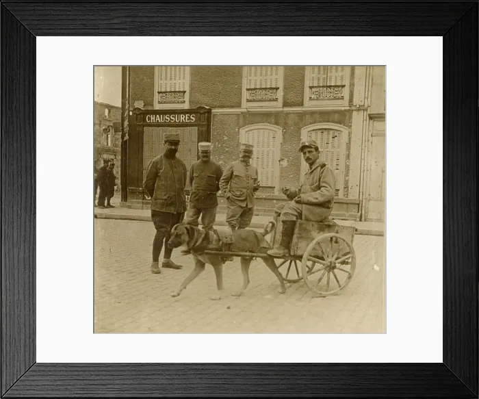 Framed Print : Dog-cart, France, c1914-c1918 Framed Print : Dog-cart, France, c1914-c1918