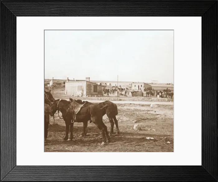 Framed Print : Horses, Somme-Tourbe, northern France, c1914-c1918 Framed Print : Horses, Somme-Tourbe, northern France, c1914-c1918