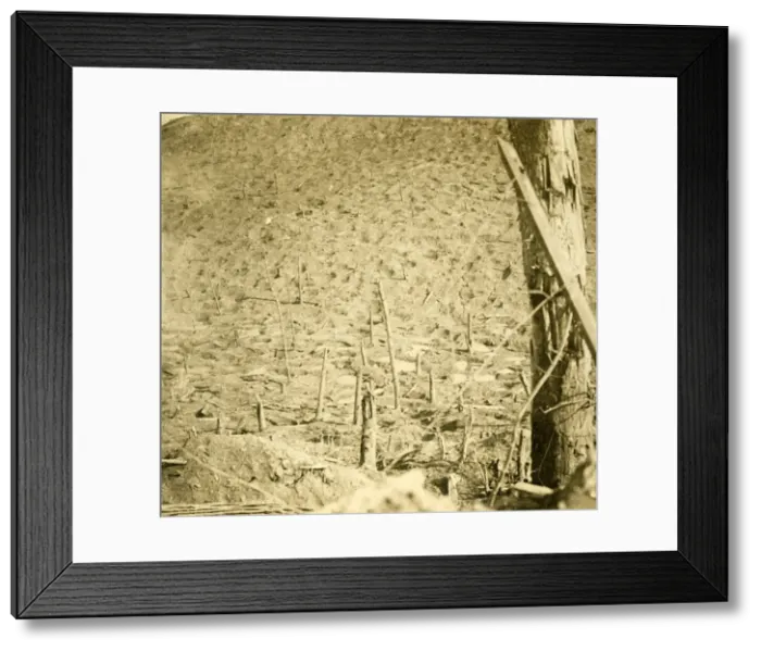 Framed Print : Ravine at Les Eparges, northern France, c1914-c1918 Framed Print : Ravine at Les Eparges, northern France, c1914-c1918