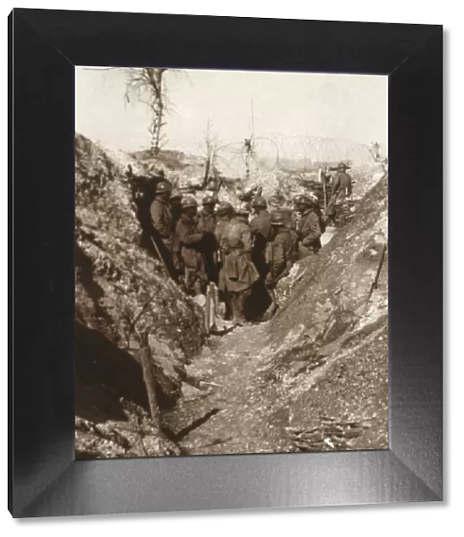 Bois de la Grille before attack, northern France, c1914-c1918