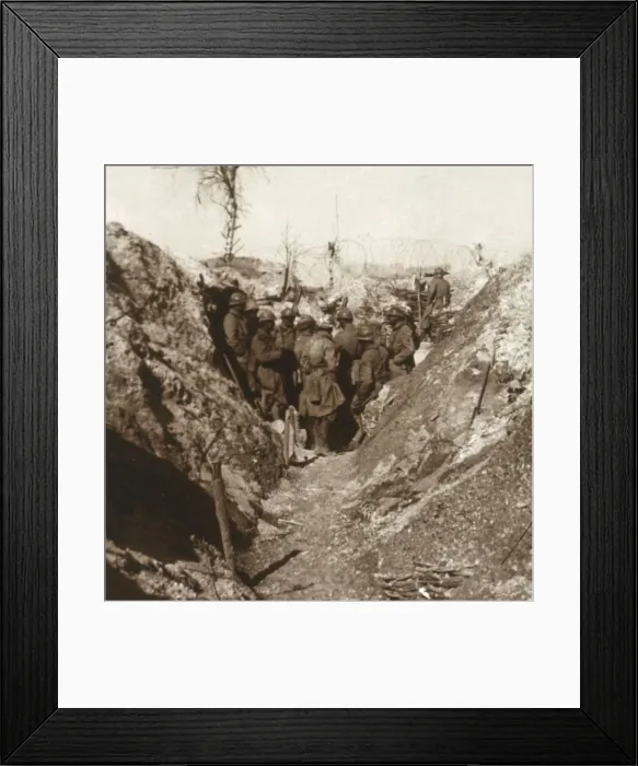 Framed Print : Bois de la Grille before attack, northern France, c1914-c1918 Framed Print : Bois de la Grille before attack, northern France, c1914-c1918