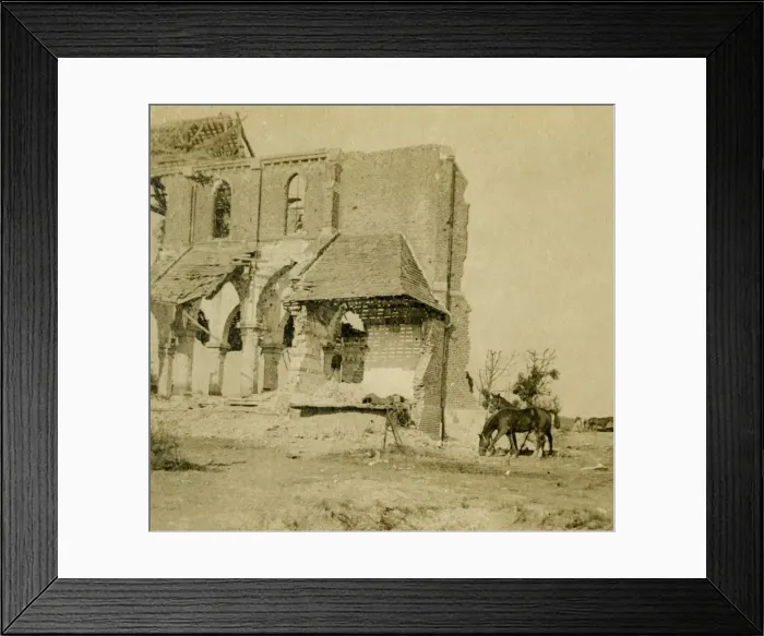Framed Print : Horses grazing near ruined church, Frise, northern France, c1914-c1918 Framed Print : Horses grazing near ruined church, Frise, northern France, c1914-c1918
