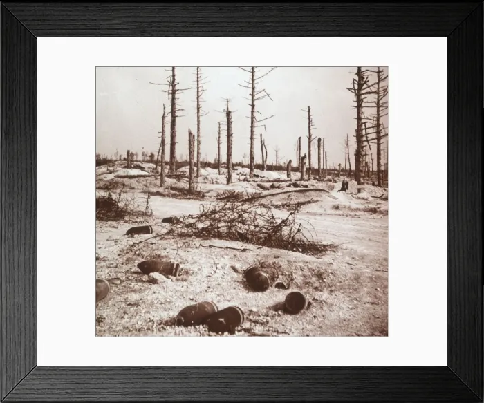 Framed Print : Shells, Verdun, northern France, c1914-c1918 Framed Print : Shells, Verdun, northern France, c1914-c1918