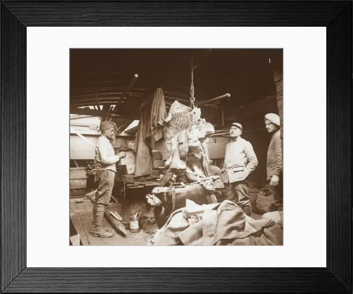 Framed Print : Butchers on a barge, Somme, northern France, c1914-c1918 Framed Print : Butchers on a barge, Somme, northern France, c1914-c1918