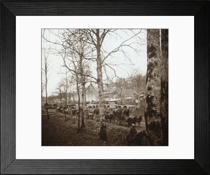Framed Print : Convoy, Somme, northern France, c1914-c1918 Framed Print : Convoy, Somme, northern France, c1914-c1918