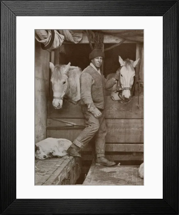 Framed Print : Captain Oates and Ponies on the Terra Nova, c1910-1913, (1913). Artist Framed Print : Captain Oates and Ponies on the Terra Nova, c1910-1913, (1913). Artist
