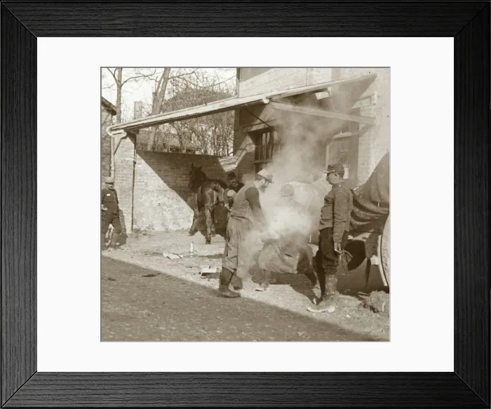 Framed Print : Blacksmith shoeing horse, Suippes, northern France, c1914-c1918 Framed Print : Blacksmith shoeing horse, Suippes, northern France, c1914-c1918