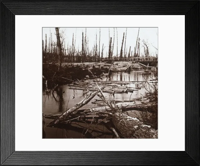 Framed Print : The River Ailette, northern France, c1914-c1918 Framed Print : The River Ailette, northern France, c1914-c1918