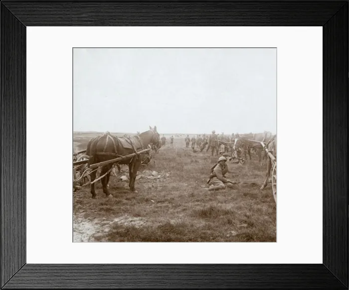 Framed Print : Soldiers and horse-drawn artillery, c1914-c1918 Framed Print : Soldiers and horse-drawn artillery, c1914-c1918