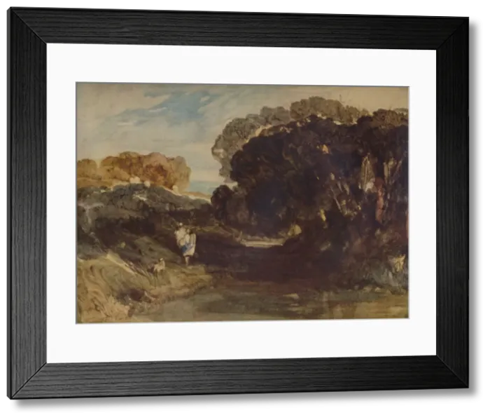 Framed Print : Dark Trees, 1923. Artist: John Sell Cotman Framed Print : Dark Trees, 1923. Artist: John Sell Cotman