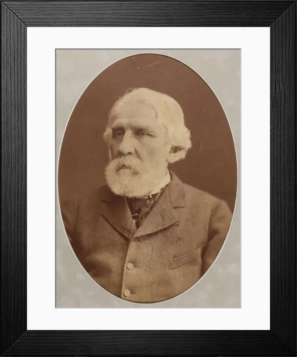 Framed Print : Portrait of the author Ivan Sergeyevich Turgenev (1818-1883), 1879 Framed Print : Portrait of the author Ivan Sergeyevich Turgenev (1818-1883), 1879