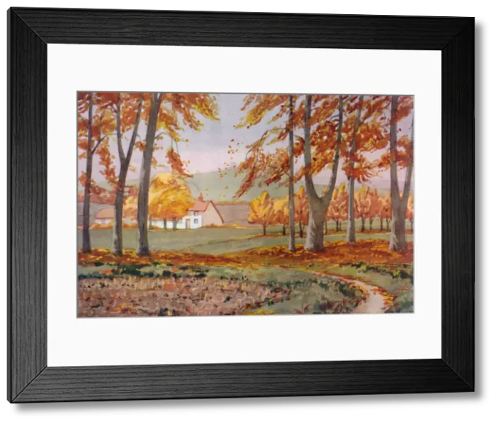 Framed Print : Autumn - The Physical, Chemical and Biological Changes Wrought By The Sun During The Year, 1935 Framed Print : Autumn - The Physical, Chemical and Biological Changes Wrought By The Sun During The Year, 1935