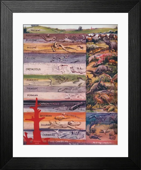 Framed Print : The Succession of Life in the Rocks, 1935 Framed Print : The Succession of Life in the Rocks, 1935