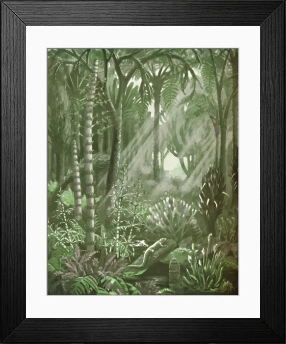 Framed Print : What the Mighty Coal Forests Were Like, 1935