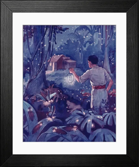 Framed Print : Tropical Fireflies as Dancing Points of Light, 1935 Framed Print : Tropical Fireflies as Dancing Points of Light, 1935