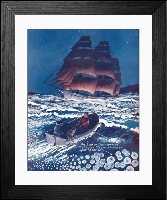 Framed Print : A Sea Illuminated By Living Nightlights, 1935 Framed Print : A Sea Illuminated By Living Nightlights, 1935