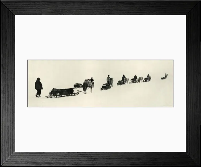 Framed Print : Ponies on the March, 1911, (1913). Artist: Herbert Ponting Framed Print : Ponies on the March, 1911, (1913). Artist: Herbert Ponting