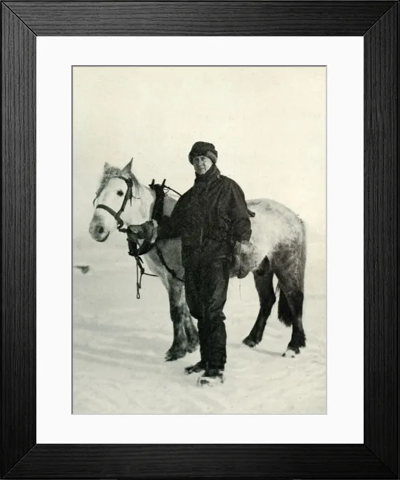Framed Print : Dr. Wilson and Pony Nobby, c1911, (1913). Artist: Herbert Ponting Framed Print : Dr. Wilson and Pony Nobby, c1911, (1913). Artist: Herbert Ponting