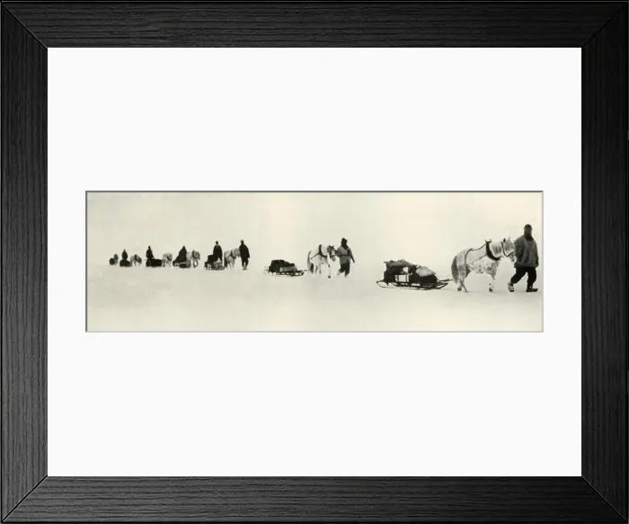 Framed Print : Ponies on the March, 1911, (1913). Artist: Frank Debenham Framed Print : Ponies on the March, 1911, (1913). Artist: Frank Debenham