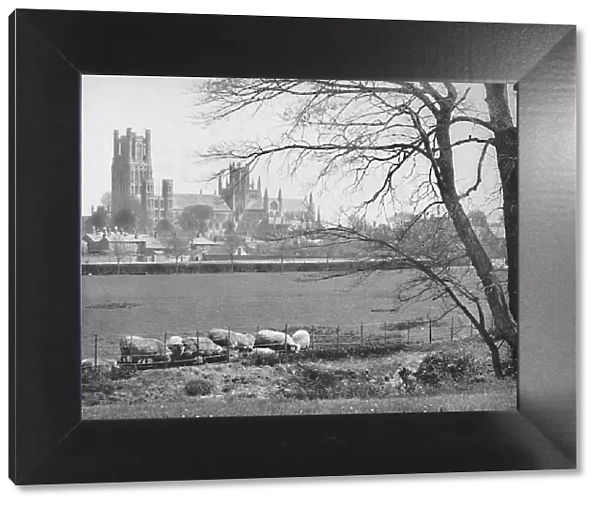 Ely Cathedral, c1896. Artist: GW Wilson and Company