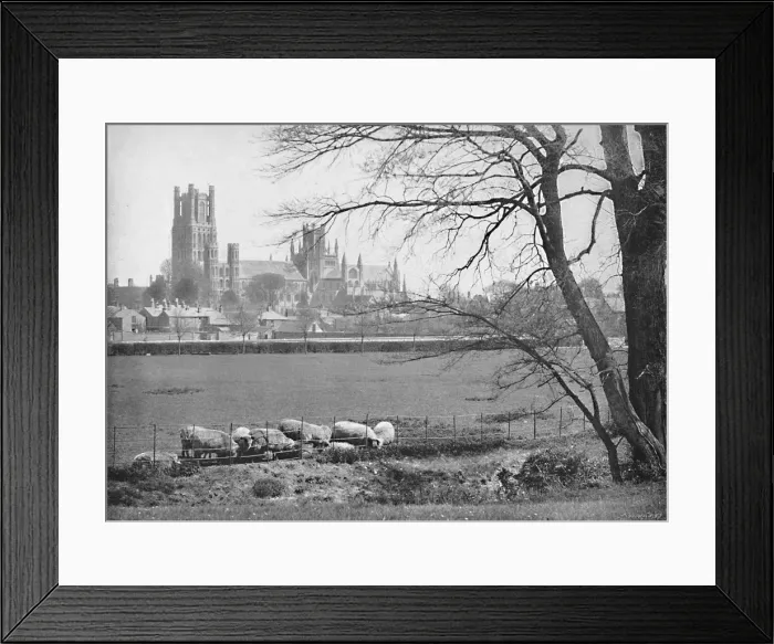 Framed Print : Ely Cathedral, c1896. Artist: GW Wilson and Company Framed Print : Ely Cathedral, c1896. Artist: GW Wilson and Company
