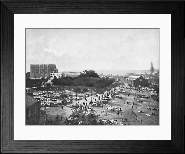 Framed Print : Norwich Castle, Cattle Market and Cathedral, c1896. Artist: William Lewis Shrubsole Framed Print : Norwich Castle, Cattle Market and Cathedral, c1896. Artist: William Lewis Shrubsole