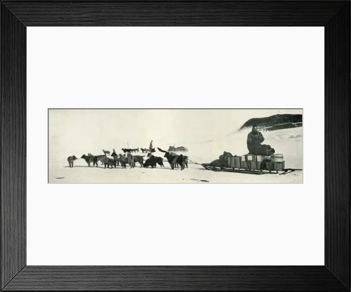 Framed Print : Meares and Demetri with Their Dog Teams Leaving Hut Point, c1911, (1913). Artist Framed Print : Meares and Demetri with Their Dog Teams Leaving Hut Point, c1911, (1913). Artist