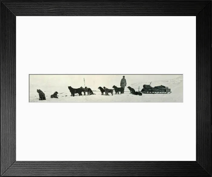 Framed Print : Dogs with Stores About to Leave Hut Point, c1911, (1913). Artist: Herbert Ponting Framed Print : Dogs with Stores About to Leave Hut Point, c1911, (1913). Artist: Herbert Ponting