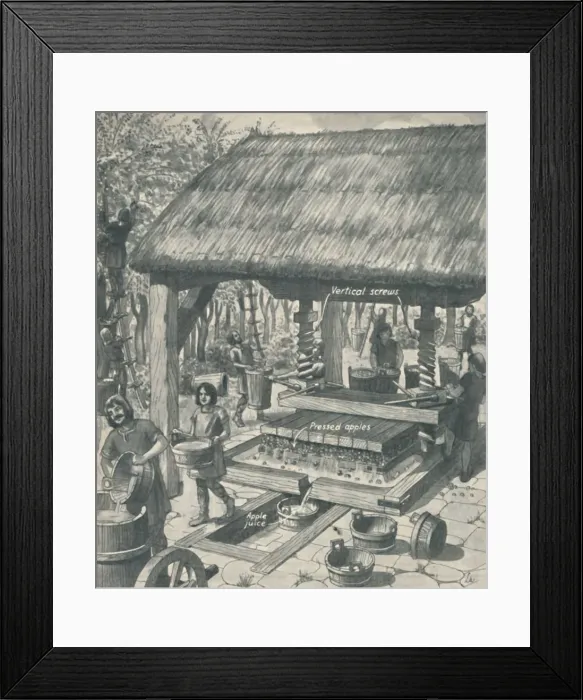 Framed Print : The Cider Press in the Middle Ages, c1934 Framed Print : The Cider Press in the Middle Ages, c1934