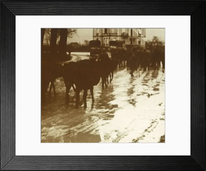 Framed Print : Mule train with supplies, Verdun, northern France, c1914-c1918 Framed Print : Mule train with supplies, Verdun, northern France, c1914-c1918