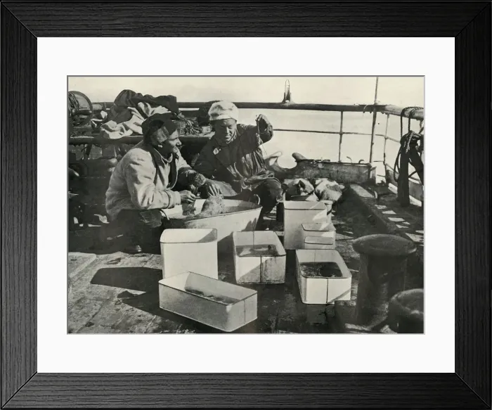 Framed Print : Lillie and Dr. Levick Sorting a Trawl Catch, c1910-1913, (1913). Artist: Herbert Ponting Framed Print : Lillie and Dr. Levick Sorting a Trawl Catch, c1910-1913, (1913). Artist: Herbert Ponting
