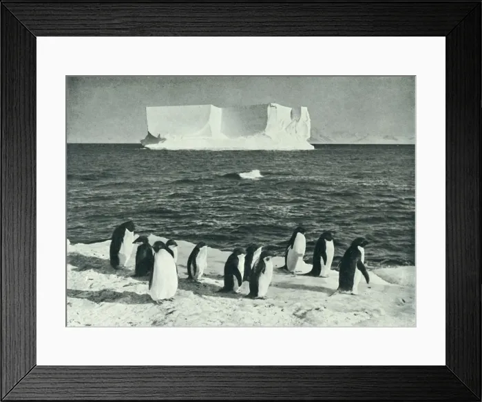 Framed Print : A Berg Drifting in McMurdo Sound, c1910-1913, (1913). Artist: Herbert Ponting Framed Print : A Berg Drifting in McMurdo Sound, c1910-1913, (1913). Artist: Herbert Ponting