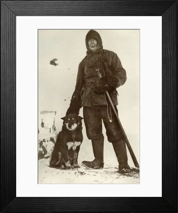 Framed Print : C. H. Meares and Osman, The Leader of the Dogs, 28 August 1911, (1913). Artist Framed Print : C. H. Meares and Osman, The Leader of the Dogs, 28 August 1911, (1913). Artist