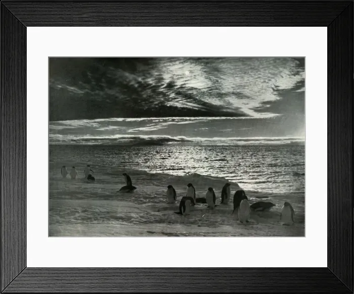 Framed Print : The Midnight Sun in McMurdo Sound, c1910-1913, (1913). Artist: Herbert Ponting Framed Print : The Midnight Sun in McMurdo Sound, c1910-1913, (1913). Artist: Herbert Ponting