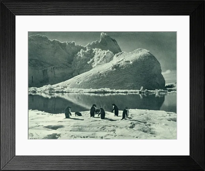 Framed Print : Summer Time - The Ice Opening Up, c1910-1913, (1913). Artist: Herbert Ponting Framed Print : Summer Time - The Ice Opening Up, c1910-1913, (1913). Artist: Herbert Ponting