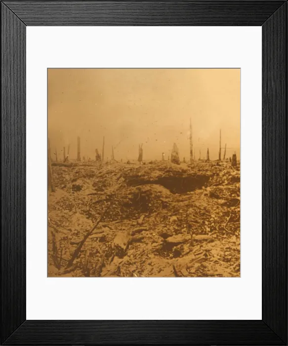 Framed Print : Bois du Chapitre, Vaux, northern France, c1914-c1918 Framed Print : Bois du Chapitre, Vaux, northern France, c1914-c1918