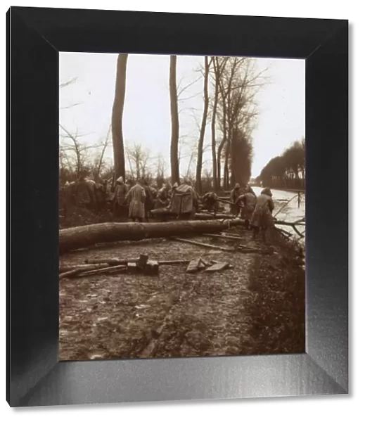 Felling trees, Noyon, northern France, c1914-c1918
