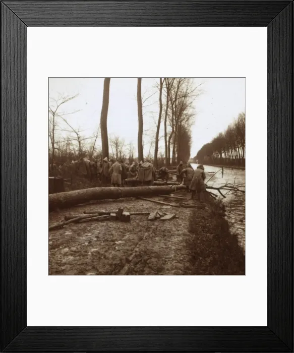 Framed Print : Felling trees, Noyon, northern France, c1914-c1918 Framed Print : Felling trees, Noyon, northern France, c1914-c1918