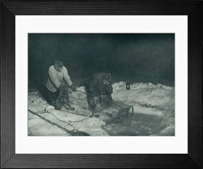 Framed Print : Dr. Atkinson and Clissold Hauling Up The Fish-Trap, 28 May 1911, (1913). Artist Framed Print : Dr. Atkinson and Clissold Hauling Up The Fish-Trap, 28 May 1911, (1913). Artist