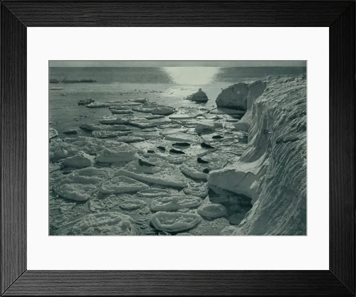 Framed Print : Seals Basking on Newly Formed Pancake Ice Off Cape Evans, c1910-1913, (1913) Framed Print : Seals Basking on Newly Formed Pancake Ice Off Cape Evans, c1910-1913, (1913)