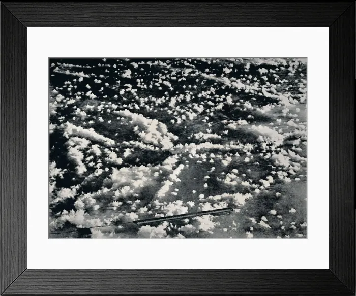 Framed Print : Ice Flowers on Newly Formed Sea Ice, 1912, (1913). Artist: Frank Debenham Framed Print : Ice Flowers on Newly Formed Sea Ice, 1912, (1913). Artist: Frank Debenham