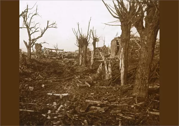 Blasted landscape, Belloy-en-Santerre, northern France, c1914-c1918