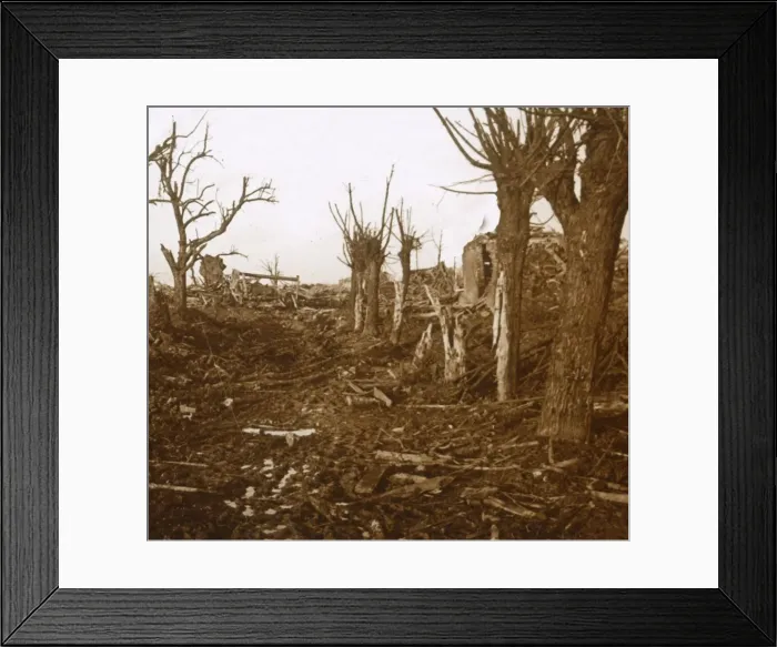 Framed Print : Blasted landscape, Belloy-en-Santerre, northern France, c1914-c1918 Framed Print : Blasted landscape, Belloy-en-Santerre, northern France, c1914-c1918