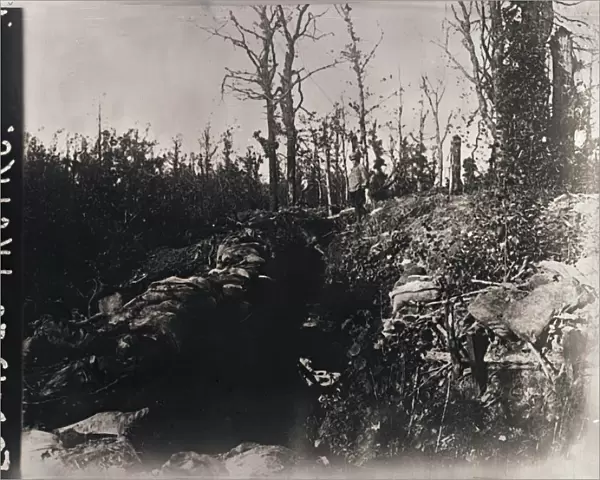 Trenches, Bois-le-Pretre, Lorraine, northern France, c1914-c1918