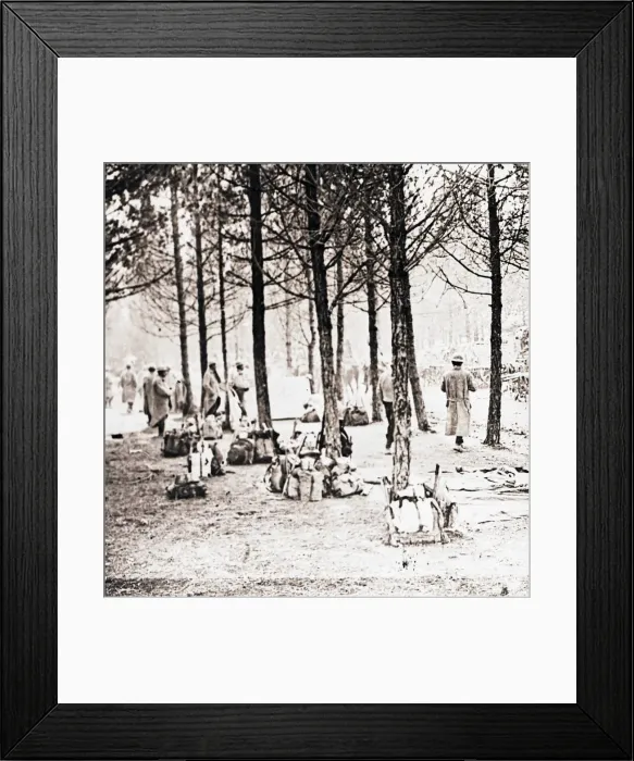 Framed Print : Soldiers and packs in woods, c1914-c1918 Framed Print : Soldiers and packs in woods, c1914-c1918