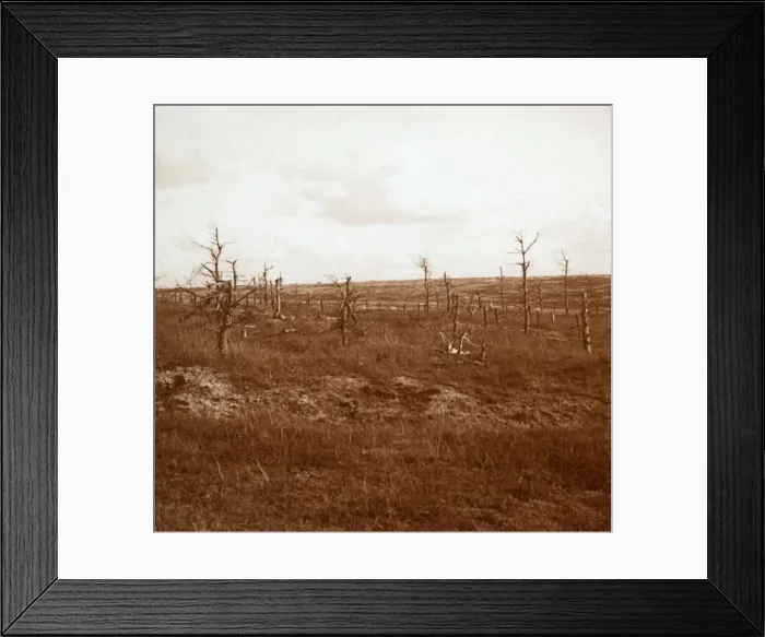 Framed Print : Battlefield, Tahure, northern France, c1914-c1918 Framed Print : Battlefield, Tahure, northern France, c1914-c1918