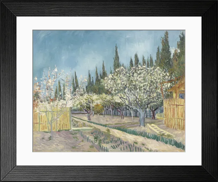 Framed Print : Orchard bordered by cypresses, 1888 Framed Print : Orchard bordered by cypresses, 1888