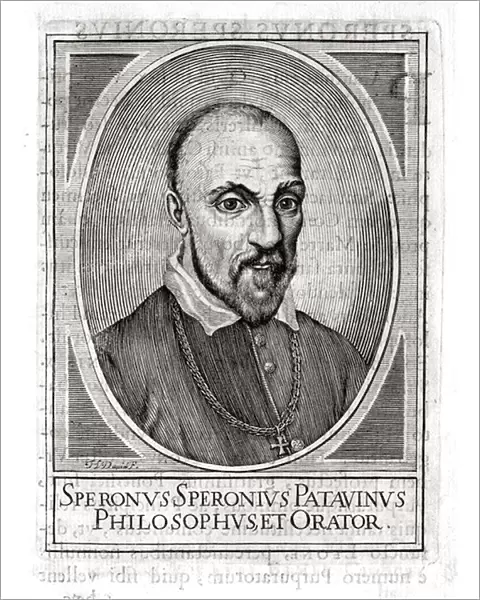 Portrait of Sperone Speroni (1500-1588)