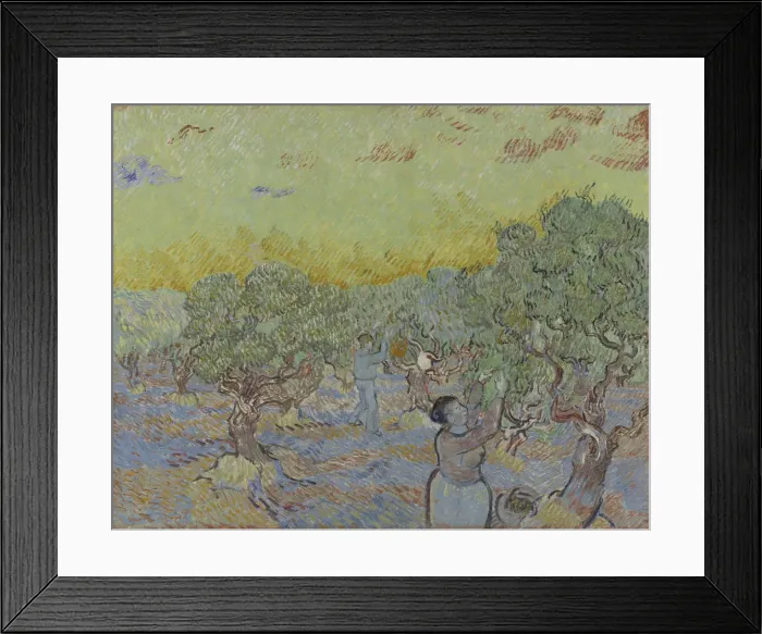 Framed Print : Olive grove with two olive pickers, 1889 Framed Print : Olive grove with two olive pickers, 1889